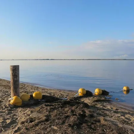 In Zuytland By Water And Nature *