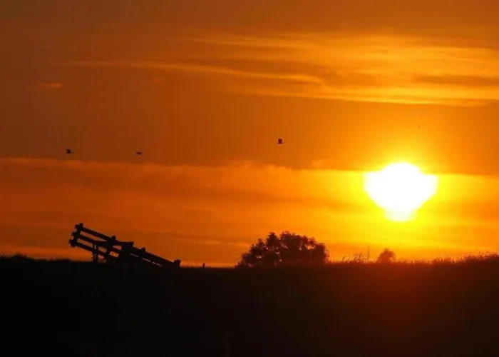 In Zuytland By Water And Nature * Simonshaven