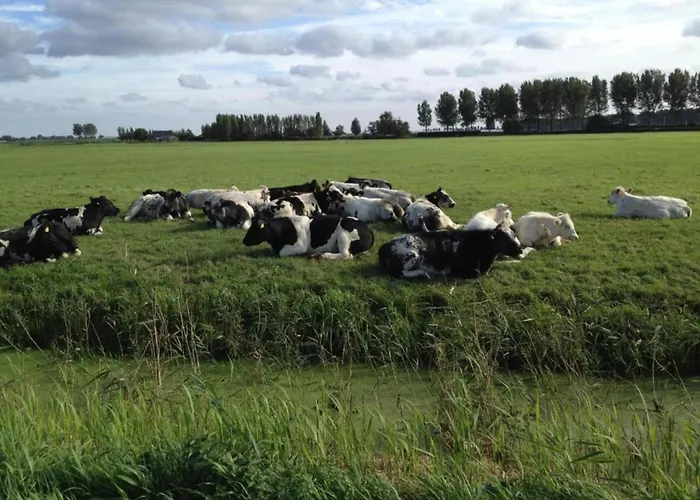 Сasa de vacaciones In Zuytland By Water And Nature Simonshaven