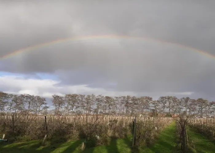 In Zuytland By Water And Nature Сasa de vacaciones