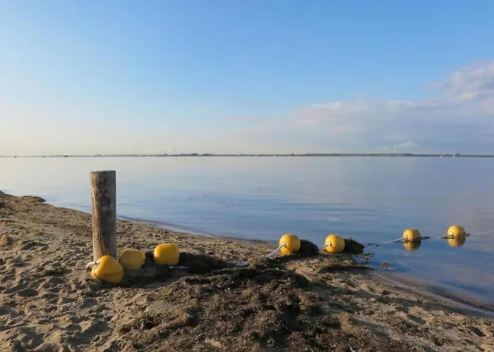 In Zuytland By Water And Nature *