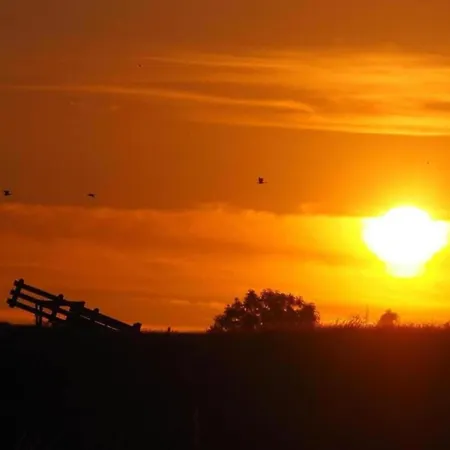 In Zuytland By Water And Nature * Simonshaven