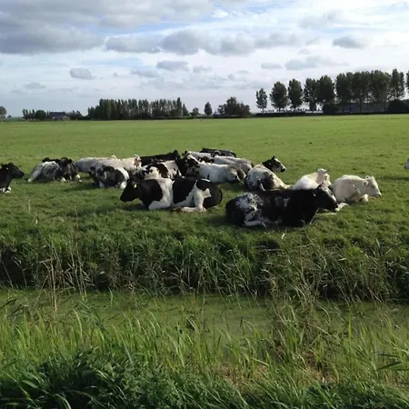 Semesterbostad In Zuytland By Water And Nature Simonshaven