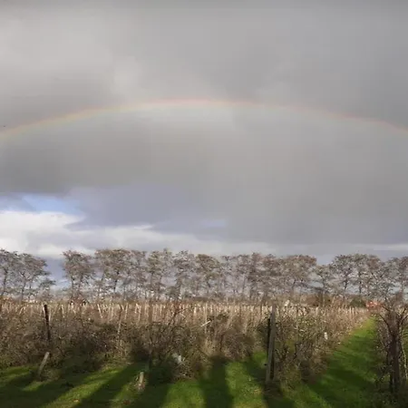 In Zuytland By Water And Nature Semesterbostad