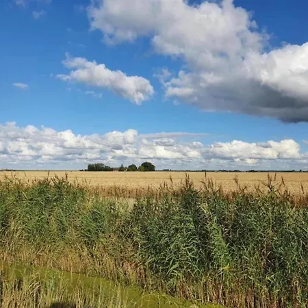 Semesterbostad In Zuytland By Water And Nature Simonshaven