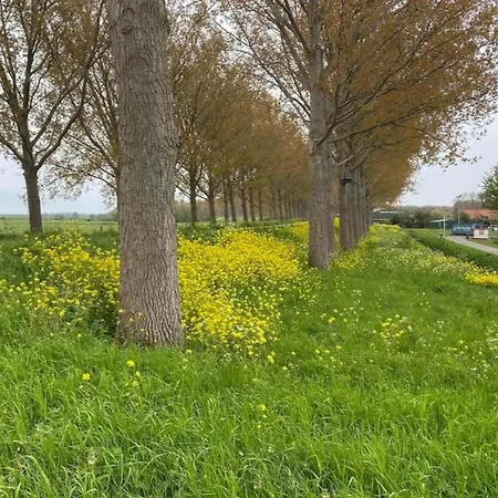 In Zuytland By Water And Nature Semesterbostad Simonshaven