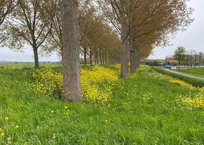 In Zuytland By Water And Nature Holiday home Simonshaven